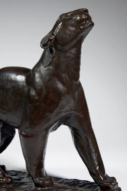 Georges-Lucien GUYOT (1885-1973) Panthère humant
Bronze à patine brune.
Modèle conçu...