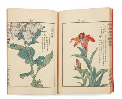 Bairei Kôno (1844-1895) Chikusa no hana Une grande variété de fleurs 4 volumes complets...