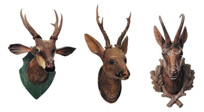  Trois têtes de cervidés Bois sculpté ornés de bois véritables.