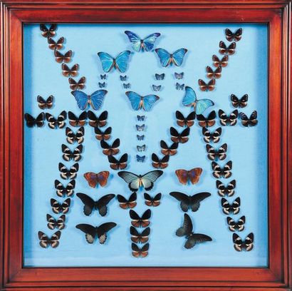  Grand cadre en bois présentant une composition de papillons sur fond bleu. H_100...