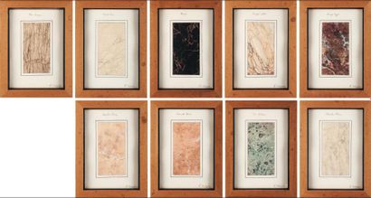  Suite de neuf cadres illustrant différentes variétés de marbres. H_46,5 cm L_34...