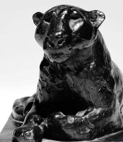 GEORGES LUCIEN GUYOT (1885-1973) Lionne assise Épreuve en bronze patiné. LA PLAINE,...