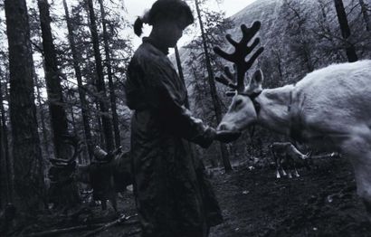 JULIA CALFEE Jeune fille au renne Photographie noir et blanc. H_40 cm L_60 cm
