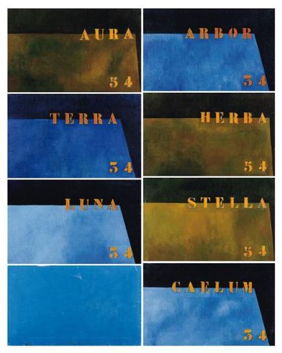 AGNÈS MAES Série aura et Terra, 1990 Ensemble de huit huiles sur toile, signées,...