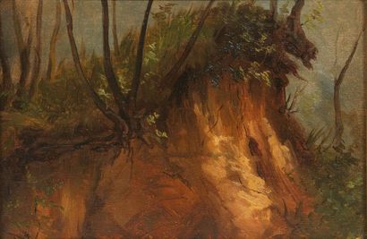 CAMILLE - AUGUSTE GASTINE (1819 - 1867) 
Bord de rivière avec une racine d'arbre
Huile...