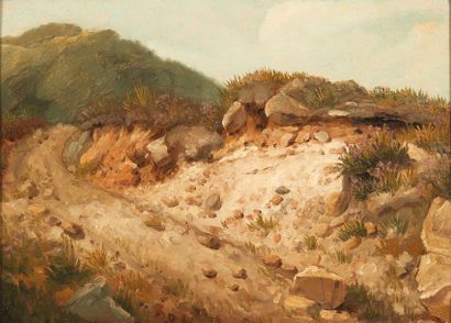 ENTOURAGE D'ALEXANDRE CALAME (1810 - 1864) 
Plage et rochers
Huile sur papier marouflé...