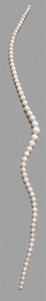 null RANG DE 64 PERLES FINES en chute.
Diamètre des perles: 3,7 à 7,8 mm environ.
Poids:...