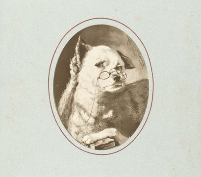 Walter J. Allen Les chiens
Suite de six gravures représentant des chiens travestis:...