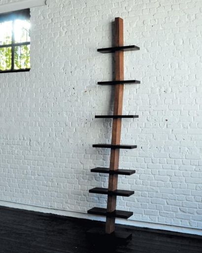  Ladder - Épreuve d'artiste Bibliothèque en bois. H_220 cm L_42 cm P_40 cm La Ladder...