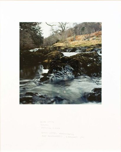 Andy GOLDSWORTHY (né en 1956) Grass stalks joined drawing a rock, 1991
Tirage photographique...