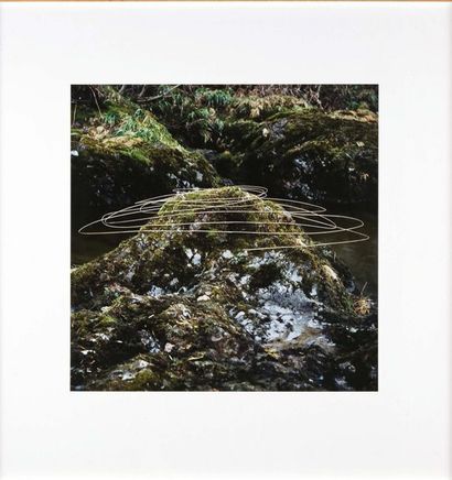 Andy GOLDSWORTHY (né en 1956) Grass stalks joined drawing a rock, 1991
Tirage photographique...