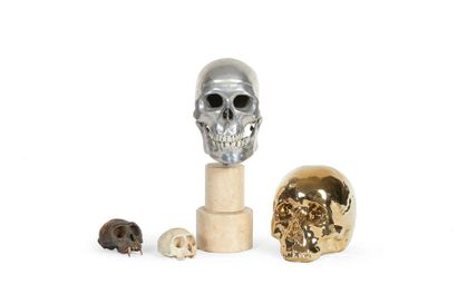 Vanitas Insieme di quattro crani, di cui uno in ceramica dorata, uno in metallo satinato...
