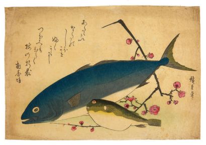 null QUATRE OBAN YOKO-E, dont deux de la série des poissons par Hiroshige et deux...