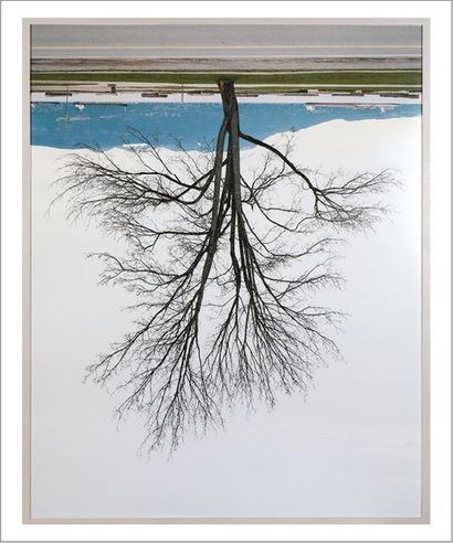 RODNEY GRAHAM (NÉ EN 1949) 
Locana Beach Tree, Winter, 2007
Tirage chromogénique...