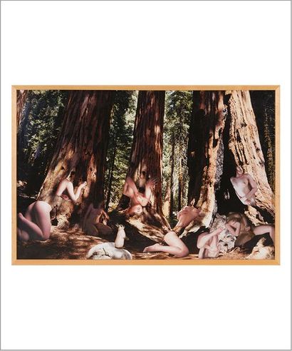 MARNIE WEBER (Née en 1959) 
The big trees, 1999
Tirage C-print et collages.
Signé,...