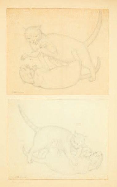 GOTTFRIED MIND (1768-1814) Études de chats
Crayons sur papier, accidents et manques.
H_27...