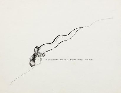 WILLIAM WEGMAN (NÉ EN 1943) 30 Years, 1973 Crayon sur papier. Signé des initiales...