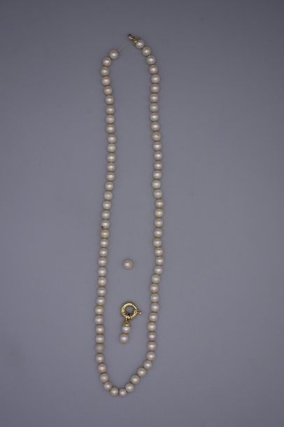 null Collier de perles de culture en choker (diamètre environ 6,5 mm). Le fermoir...