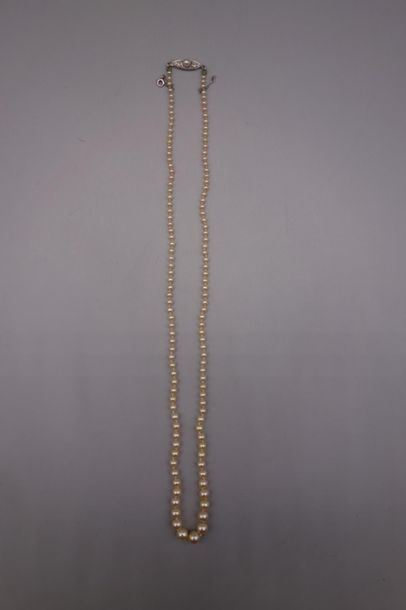 null Collier de petites perles probablement fines en chute (diamètres 5,7 à 2 mm),...