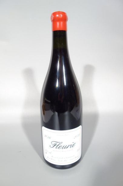 null 1 Mag FLEURIE Yvon Métras 2016