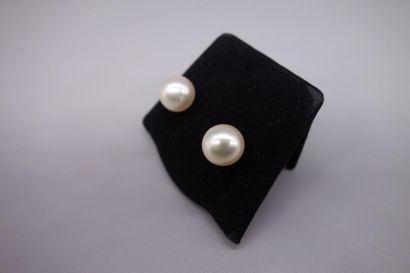 null Paire de clous d'oreilles en or jaune 18K (750/oo) sertis de deux perles de...