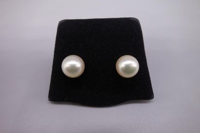 null Paire de clous d'oreilles en or jaune 18K (750/oo) sertis de deux perles de...