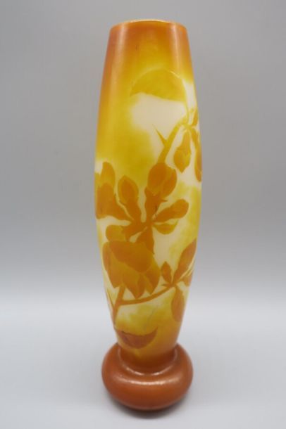 CRISTALLERIE GALLE ?
Vase soliflore en verre...