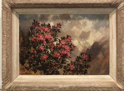 null Marcel Wibault (1905-1998).
Rhododendrons sur l'Alpe.1961.
Huile sur Isorel.
Signé...