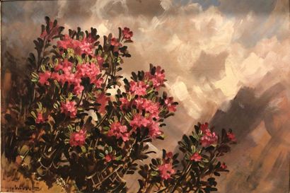 null Marcel Wibault (1905-1998).
Rhododendrons sur l'Alpe.1961.
Huile sur Isorel.
Signé...
