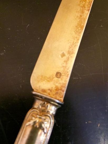 null Suite de 12 couteaux en vermeil de style Louis XV, manche argent fourré à décor...