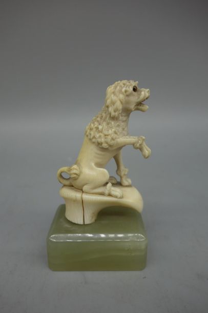 null Pommeau d'ombrelle en ivoire sculpté figurant un chien assis, socle en pierre...