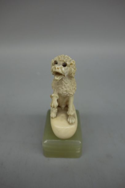 null Pommeau d'ombrelle en ivoire sculpté figurant un chien assis, socle en pierre...