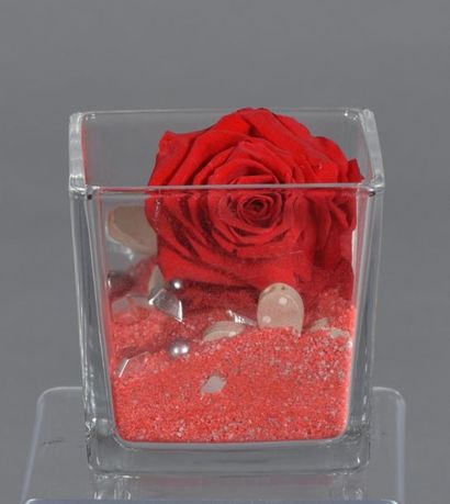 Coupe carrée en verre, sable et rose à l'intérieur....