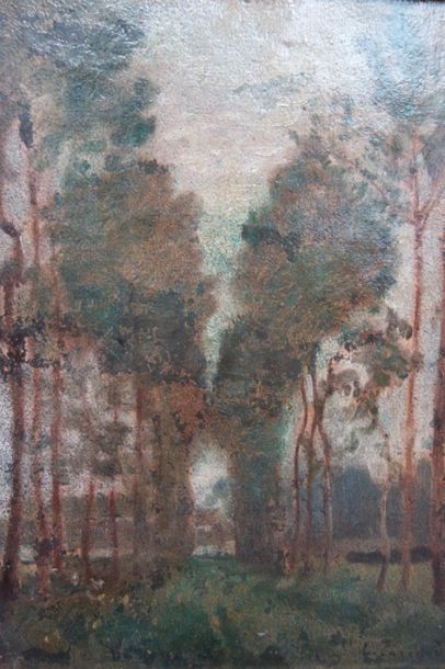 null Louis Hilaire Carrand (1821-1899).
Allée d'arbres.
Huile sur papier collé sur...