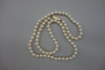 Collier de perles de culture en choker (diamètre...