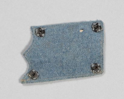 null Insignia fabric collar flap of officer pilot's collar gold cannetille, on a...