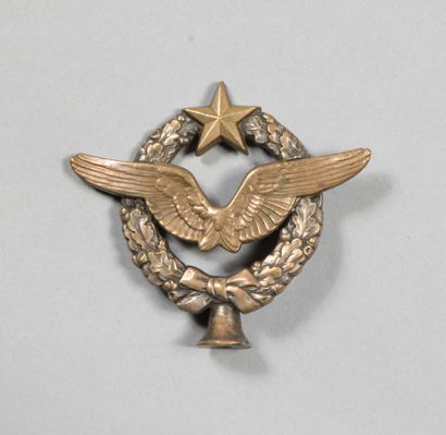 null Insigne enblème de hampe de fanion de l'Armée de l'Air, représentant un brevet...