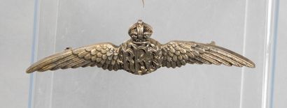 null Royal Flying Corps, ww1, 1313/1918, brevet de pilote d'avion militaire en argent...