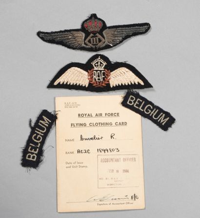 null Forces Aériennes Belges Libres. FABL. Brevet tissu de pilote RAF brodée blanc,...