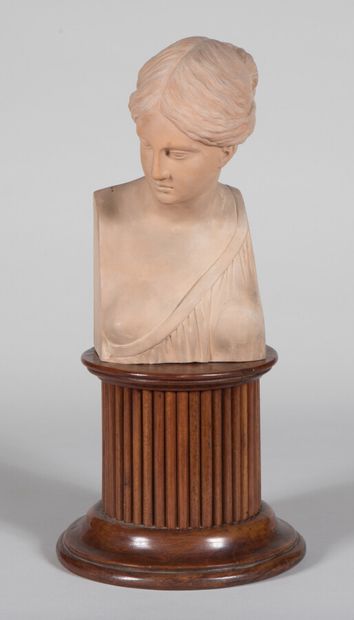 null Giovanni MOLLICA (XIXe)

Buste de femme à l'antique. 

Épreuve en terre cuite....