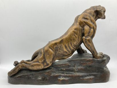 null Louis Albert CARVIN (1875-1951)

" Tigre blessé ". 

Épreuve en bronze doré...