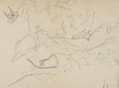 null Leonard Tsuguharu Foujita (1886-1968).

Branching.

Graphite on paper.

Sight:...