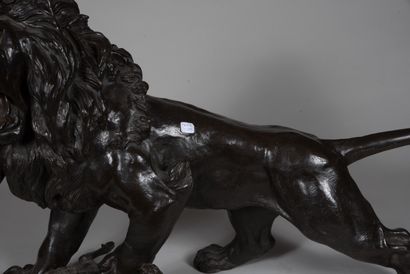 null Grand sujet en bronze de patine brune, représentant un lion rugissant, la patte...