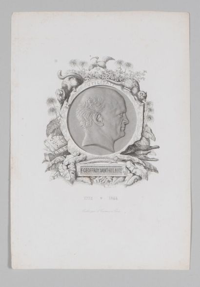 null [Étienne GEOFFROY SAINT-HILAIRE]. Portrait gravé sur cuivre par A. Freart. 14...