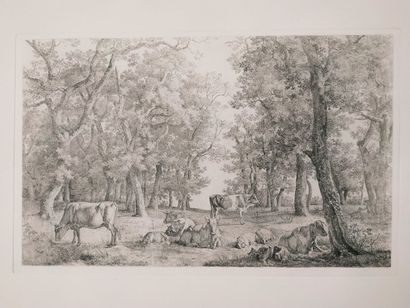 null Jean-Antoine DUCLAUX (1783-1868)

Lot d'environ 22 eaux-fortes de paysages champêtres,...