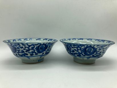 null Vietnam, Two white and blue earthenware bowls.