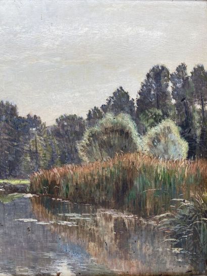 null Edouard Auguste RAGU. Bords de Loire. Huile sur panneau. Signé en bas à gauche....