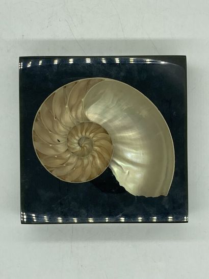 null Un demi-nautile dans un cube de résine. 

Vers 1970. 

H. 15 cm