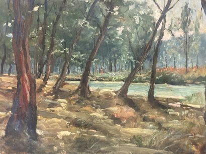 null Charles CURTELIN (1859-1912).

Lot de trois oeuvres :

Paysages (dont un situé...
