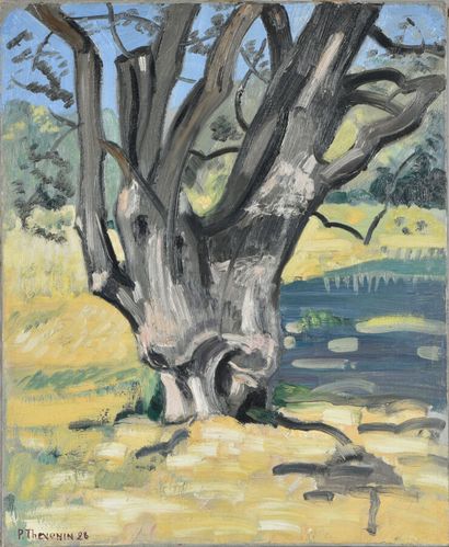 null Pierre THÉVENIN (1905-1950).

Tree, 1928.

Oil on canvas.

Signed and dated...